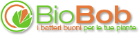 BioBob, il fertilizzante naturale per piante da orto e fiori
